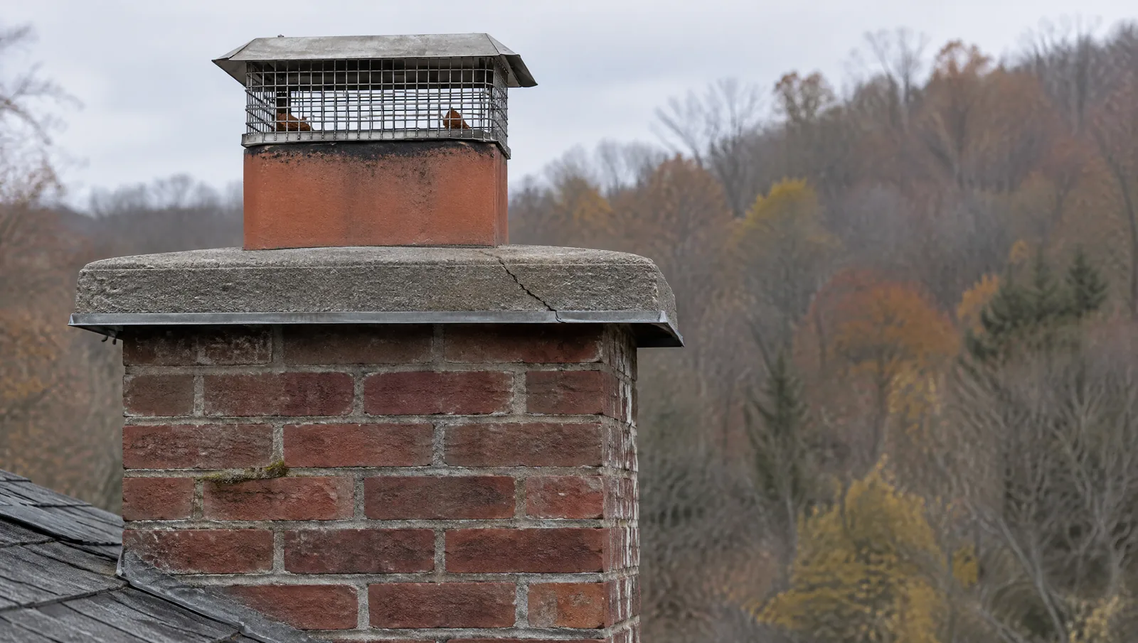Side view of a chimney top: concrete crown with a hairline crack, clay flue tile and mesh cap